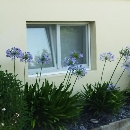 Les Hortensias Fortschwihr Exterior foto