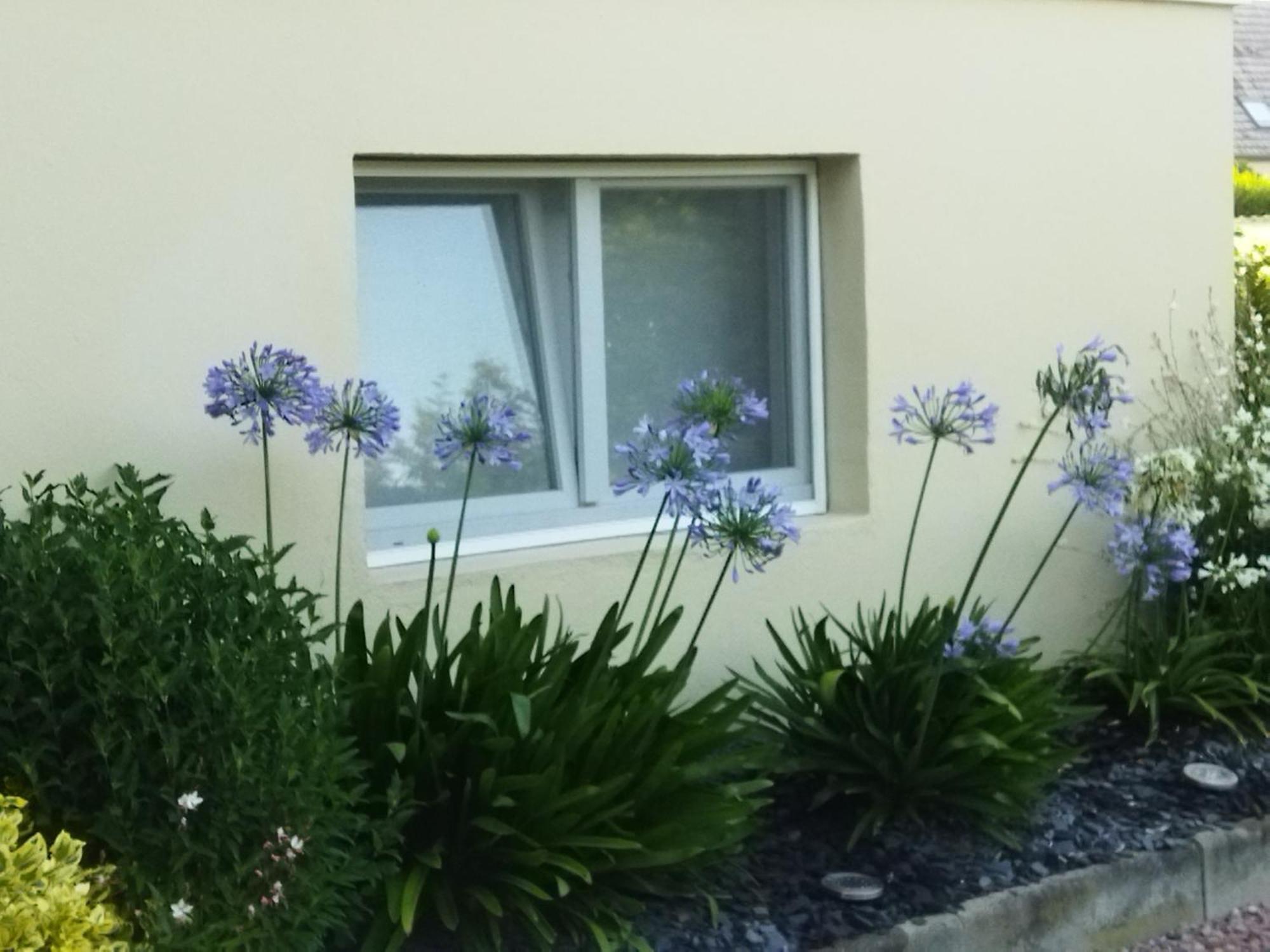 Les Hortensias Fortschwihr Exterior foto